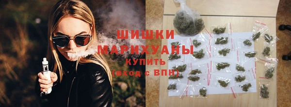 спайс Богданович