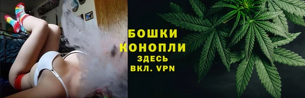 хмурый Богородицк