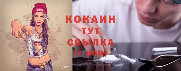 спайс Богданович