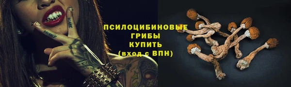 хмурый Богородицк