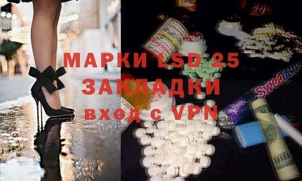 спайс Богданович