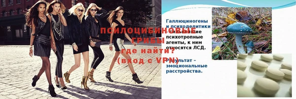 спайс Богданович