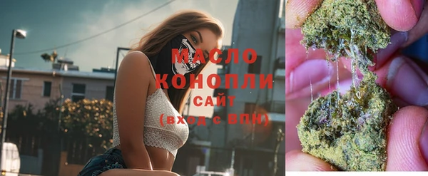стаф Тайга