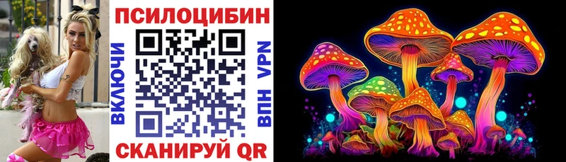 Псилоцибиновые грибы мицелий  Будённовск 